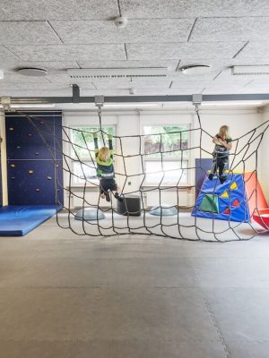 Klifurnet fyrir hreyfirýmið 14 mm svart PP, 30 x 30 cm möskvi