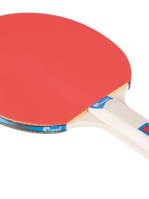 Borðtennis kylfa Tress 2 stjörnur