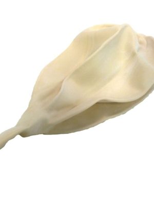 Þvagblaðra fyrir Kin-Ball Ø: 102 - 122 cm