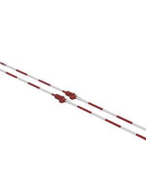 Senoh blakloftnet samþykkt af FIVB