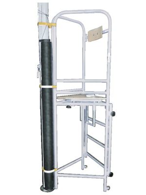 Dómstóll blakbolta, atvinnumaður