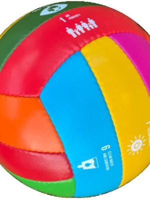 Blakbolti Global Goals stærð 5