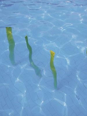 Sjógras til köfunarleikja, sett með 4 stk. Lengd 150 cm