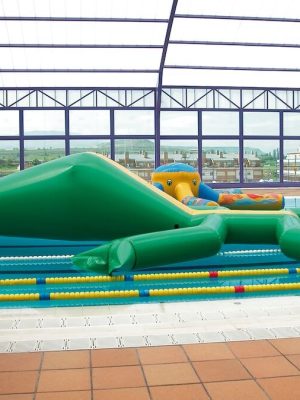 Risastór froskur Lengd: 5 metrar