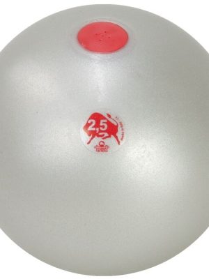 Slammerball mjúkur 2,5 kg