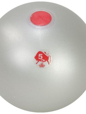 Slammerball mjúkur 5 kg