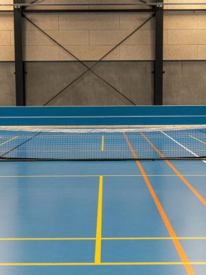 Mini tennisnetkerfi, þ.m.t. netkerfi