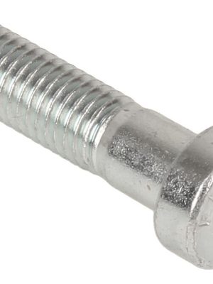 Innanburstinn M10 x 40 mm Fyrir klifurgrip