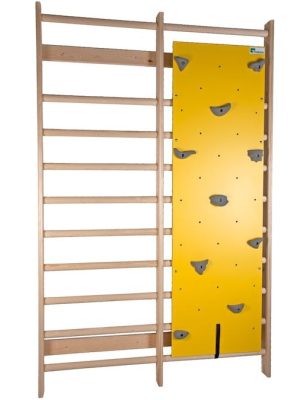 Klifurbretti fyrir rifbein, þar á meðal klifurgrip 61 x 200 cm