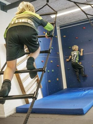 Hreyfifærnistigi fyrir hreyfifærnihandriða Heildarlengd: 350 cm með snúningslið